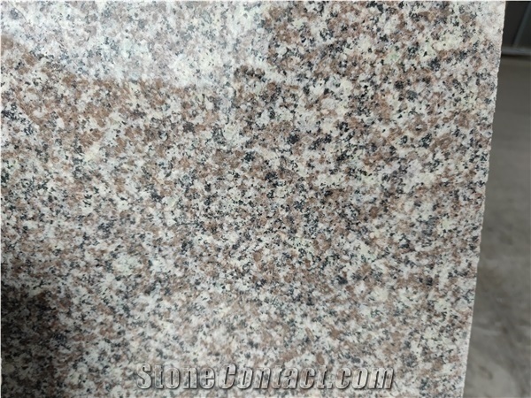 New G664 Pink Granite Slabs and Walling/ Flooring Tiles