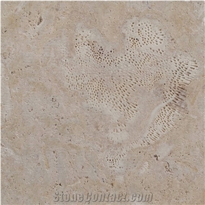 Golden Coral Stone