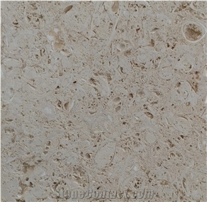 White Shell Stone, Coral Stone Tiles