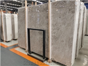 Galaxy Silver Marble Light Grey Marble for Project