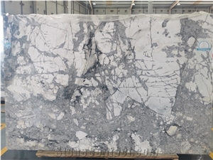 White Marble with Grey Tree Vein