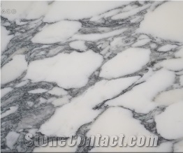 Calacatta Corchia 2cm Marble