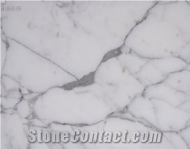 Calacatta Corchia Marble