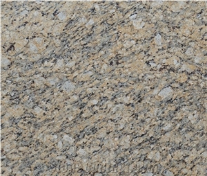 Giallo Napoleone Granite