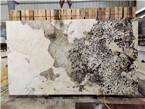Brazil Pandora Quartzite White Polished Slabs & Floor Tiles