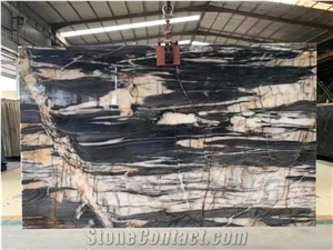 Brazil Warwick Streamer Black Quartzite Polished Wall Slabs