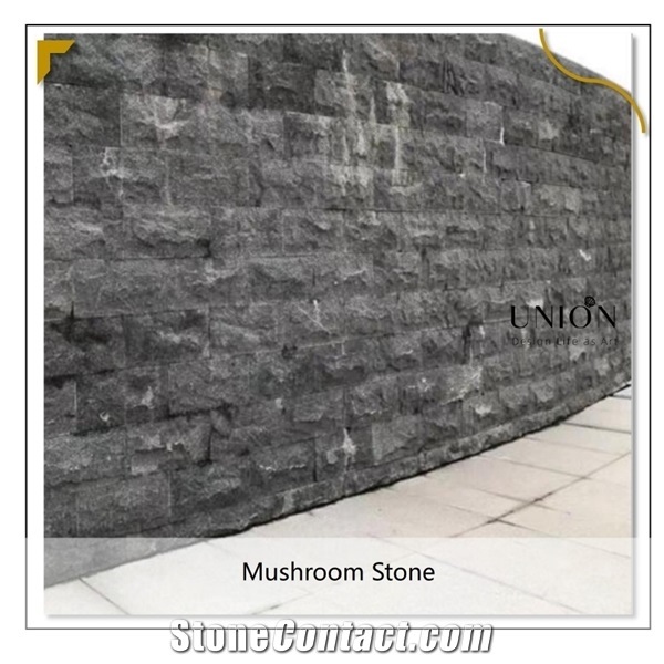 Cheap Black Natural Quartzite Mushroom Wall Stone for Saling