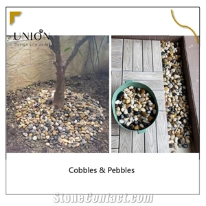 China Supplier Landscape Garden Cobble Pebble Pavers Stone