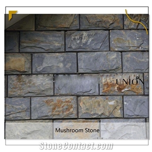 Mulcitcolor Slate Mushroom Stone, Wall Cladding Stack Stones
