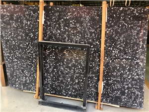 Black Fossil Marble W/White Dots Shell Marble Slabs