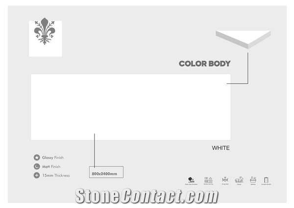 Florence Full Body Plain Color 800x2400 Ceramic Slab 15 mm