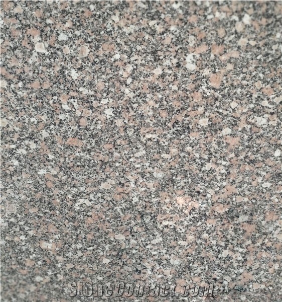 Gandonna Aswan Granite Tiles & Slabs