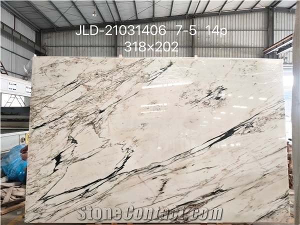 Italy Arabescato Marble Carrara White Slab