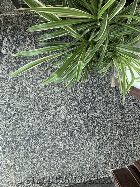 Pacific Blue Ice Granite for Steps Tile Decoration