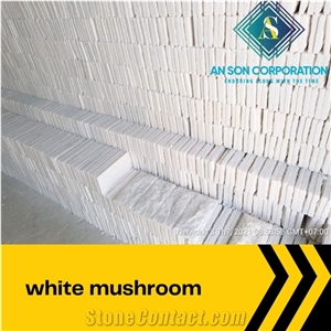 Diamond White Mushroom from an Son Corporation