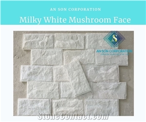 Milky White Mushroom Face