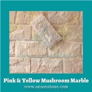 Mix Color Mushroom Stone Wall