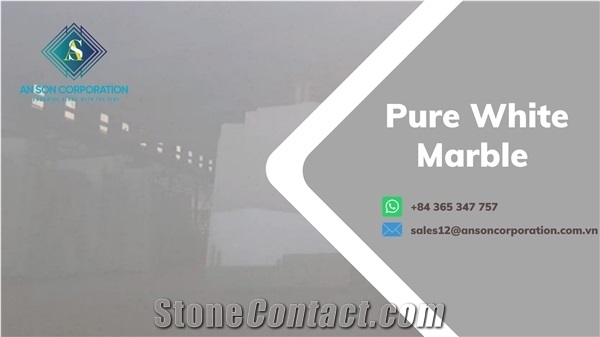 Special Offer for Pure White Marble