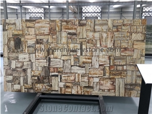 Multicolor Petrified Wood Semiprecious Stone Slabs