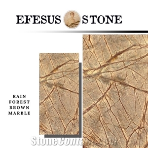 Bidasar Brown Marble-Fantasy Brown Marble