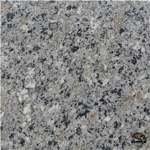 Granite / Granito Counertop G674