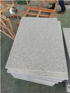 Cheap Light Grey Granite Slab Importers White Granite G603