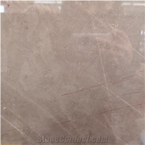 Bulgari Brown Marble Slabs for Floor Tiles and Table Top