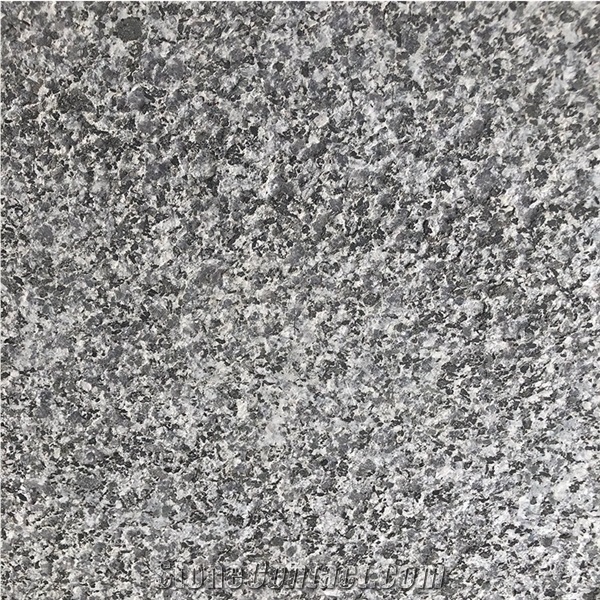 China Black Stone New G654 Granite Cheap Price 60x40cm Tiles