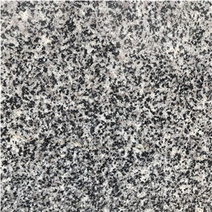 China Grey Stone G654 Granite Slabs for Kitchen Countertop