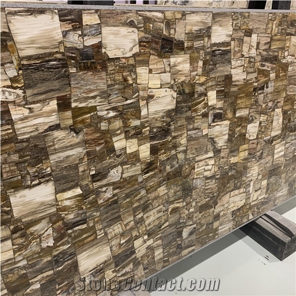Fossil Stone Semiprecious Slab For Home Hotel Project