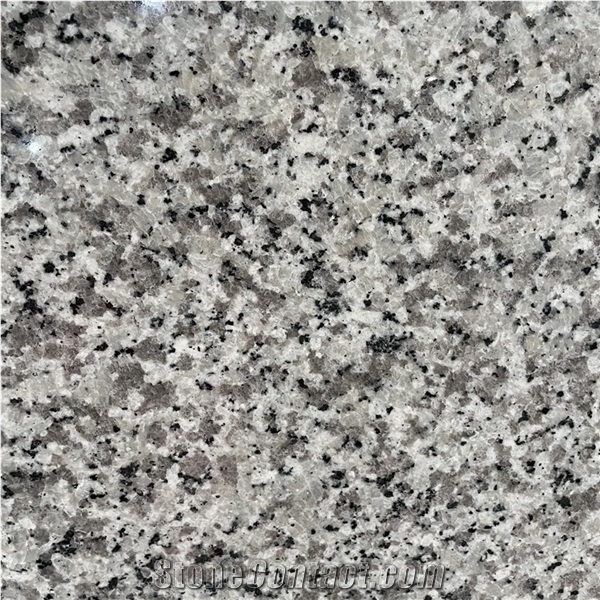 G439 Grey Granite Slab for Floor and Kitchen Countertop