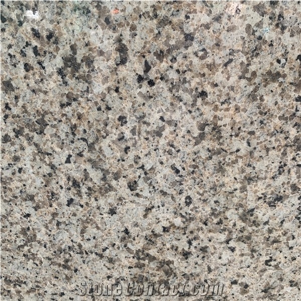 G681 Yellow Granite Slabs for Kitchen Countertop Vanity Tops