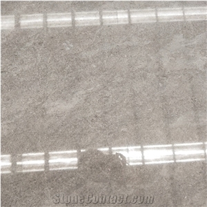 Good Price Ivory Grey Marble Slab for Living Room Wall Tiles