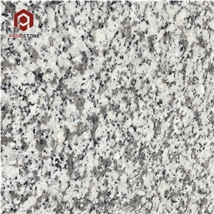 Natural White Granite Countertops for Kitchen