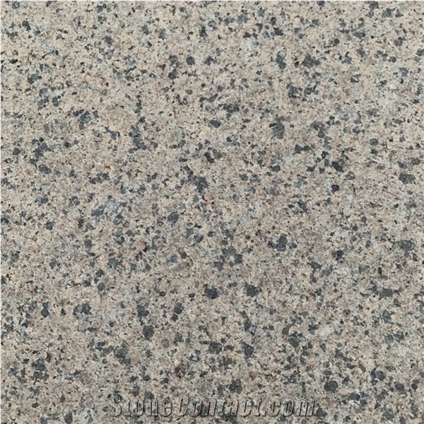 Polished Desert Brown Granite Tile for Outdoor Wall Cladding