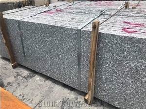 Seasame Granite Slab Tile 60 X 60cm from Vietnam