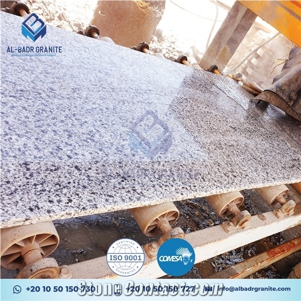 White Granite - Bianco Halayeb Granite Slabs