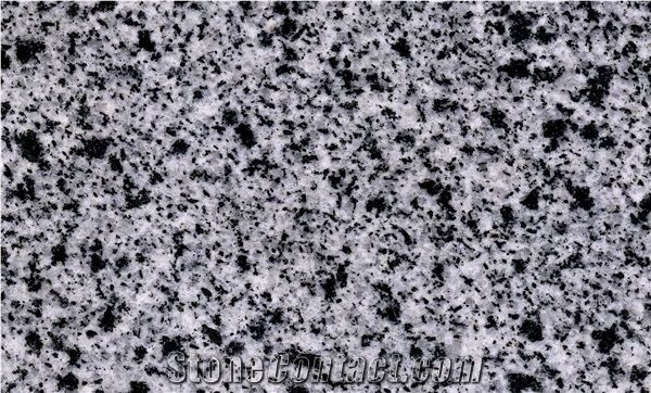 White Granite Slabs - Egyptian Bianco Halayeb Granite