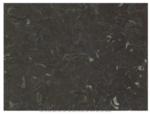 Negro Caracol Marble Slabs, Tiles