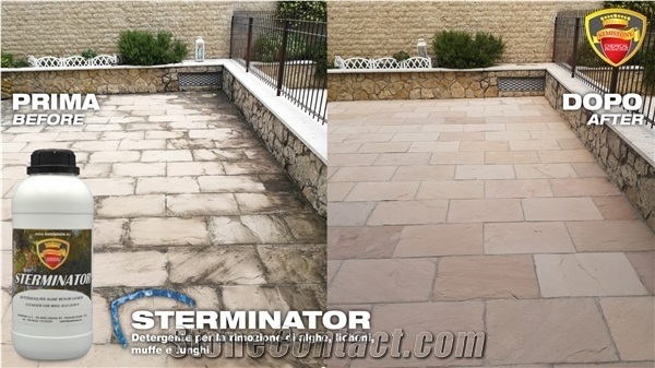 Sterminator Cleansing for Algae Removal