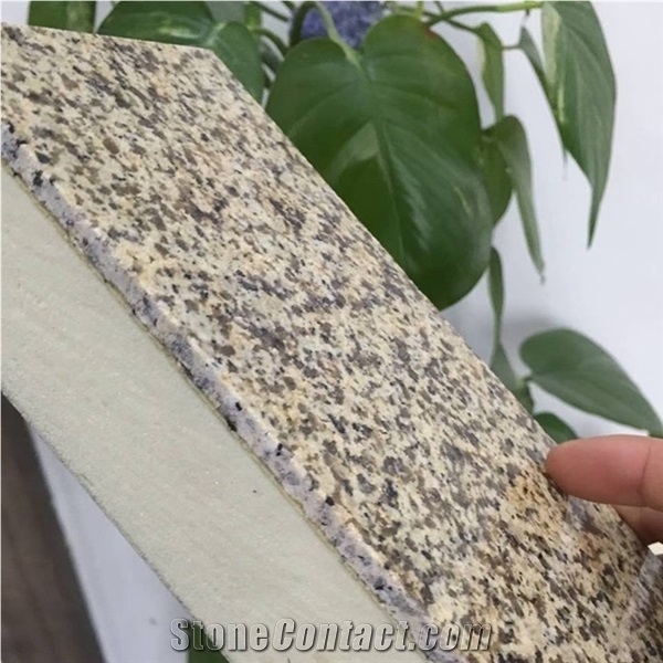 Thermal Protection Composite Panel