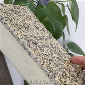Thermal Protection Composite Panel