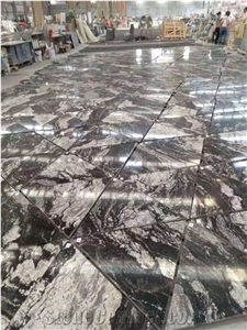 Leathered Chinese Black Rega Baleto Granite Floor Wall Tiles