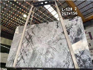 Vietnam Silver Fir Marble Polished Wall Covering Tiles