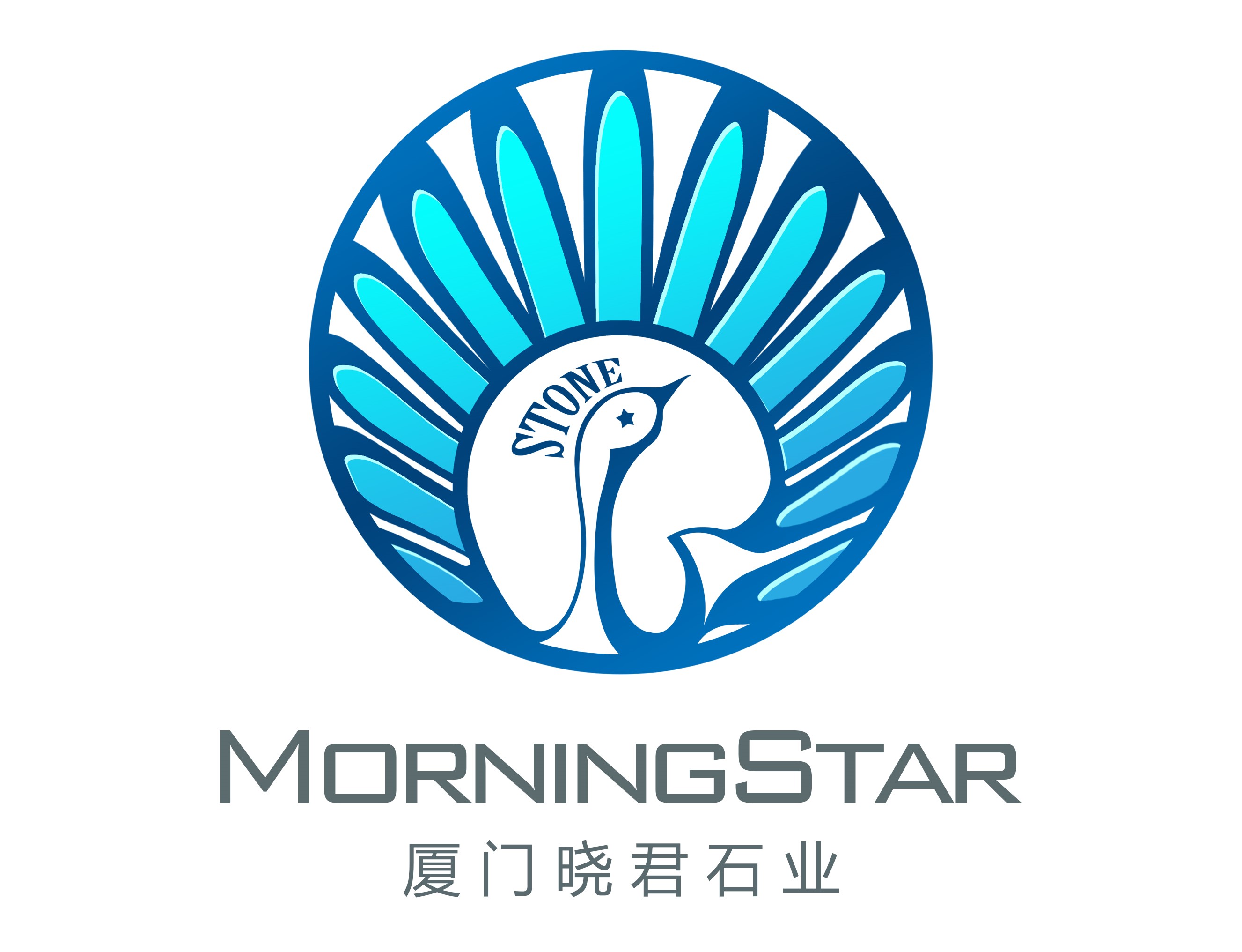 morning star logo2.jpg