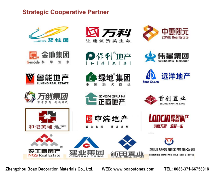 Boao strategic real estate business partner.png