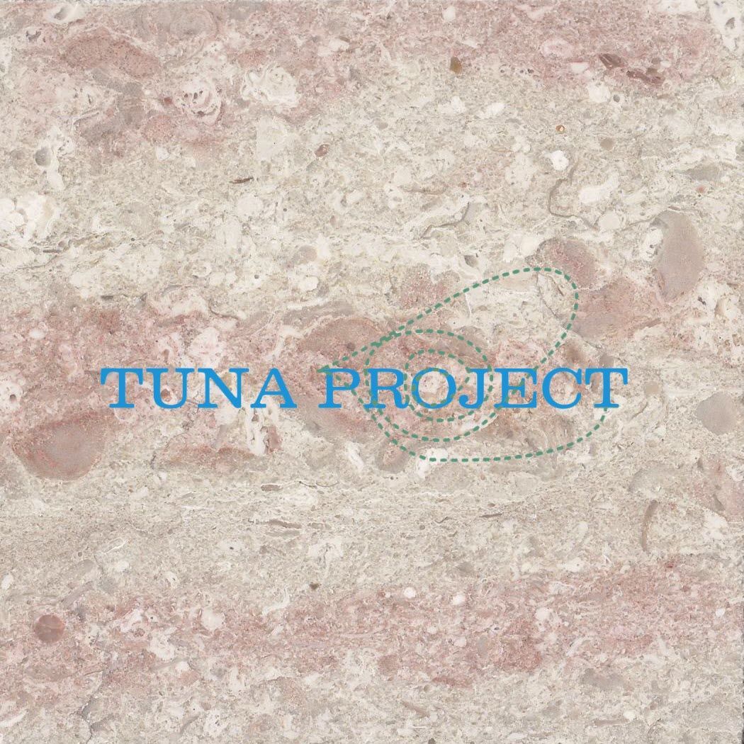 Tunaproject-pink-beige-block-marble.jpg