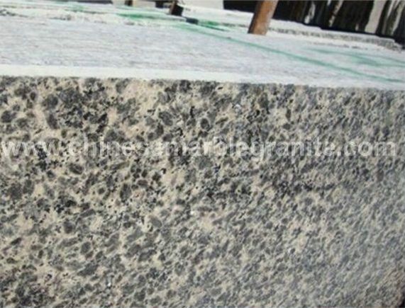 versatile-leopard-skin-grey-granite-slabs-p637318-5b.jpg