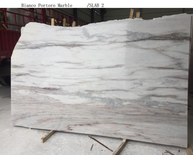 Bianco Portoro marble3.jpg