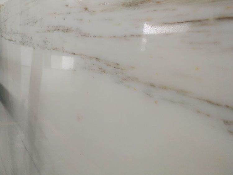 cremo delicato marble 4.jpg